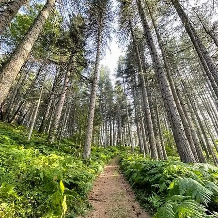 Casa Di Federico E Sofia Apartamento *