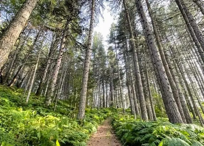 Casa Di Federico E Sofia דירה *